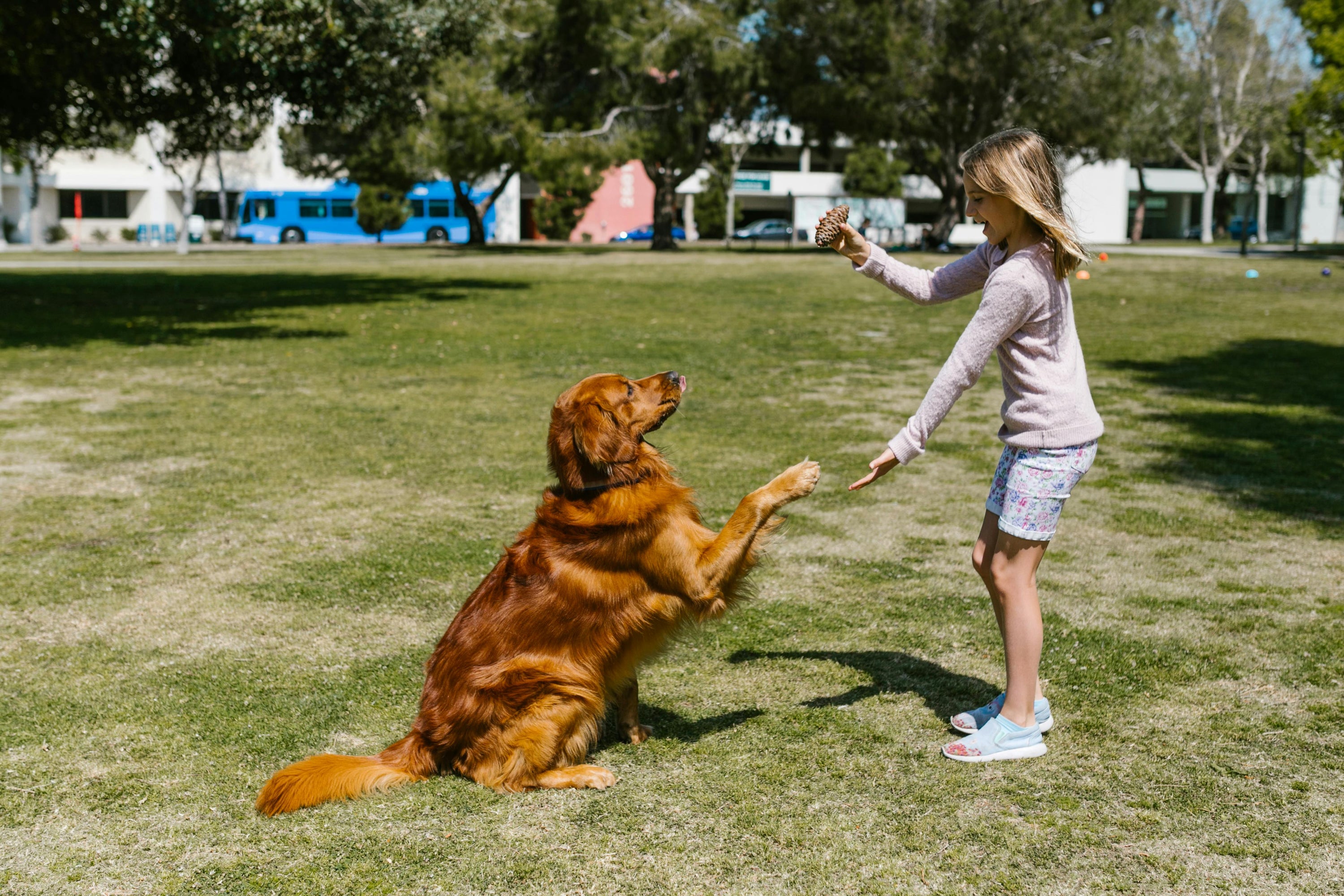 How To Read a Dog’s Body Language