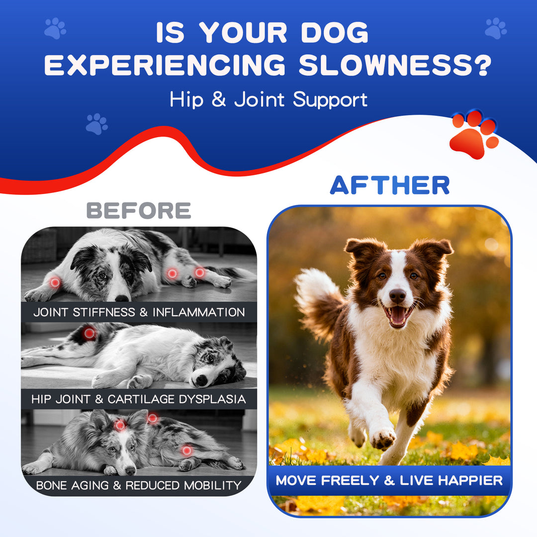 PIOUOK Hip & Joint Supplement for Dogs | Glucosamine Chondroitin MSM Soft Chews 150 Count - Liver Flavor